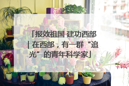 报效祖国 建功西部｜在西部，有一群“追光”的青年科学家
