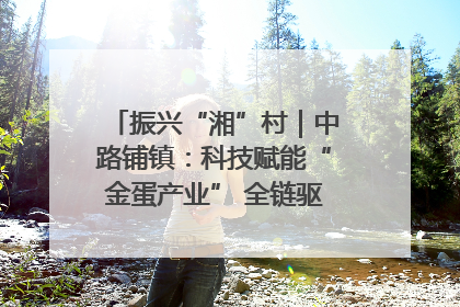 振兴“湘”村｜中路铺镇：科技赋能“金蛋产业” 全链驱动乡村振兴