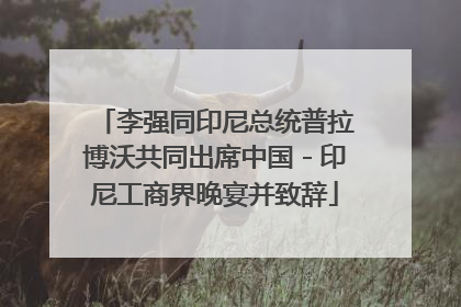 李强同印尼总统普拉博沃共同出席中国－印尼工商界晚宴并致辞