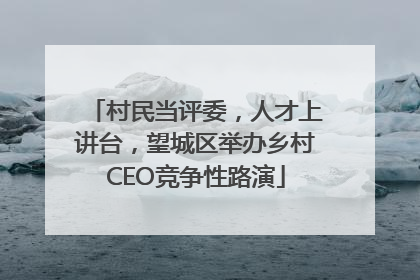 村民当评委，人才上讲台，望城区举办乡村CEO竞争性路演