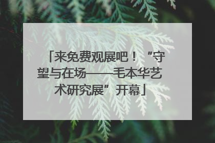 来免费观展吧！“守望与在场——毛本华艺术研究展”开幕