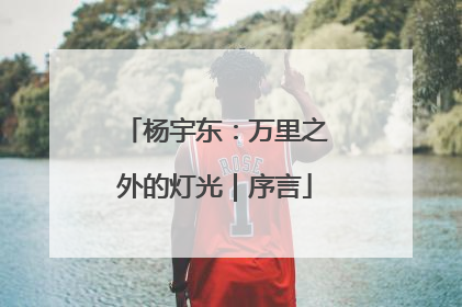 杨宇东：万里之外的灯光｜序言