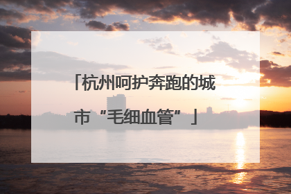杭州呵护奔跑的城市“毛细血管”