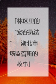 林区里的“宠客执法”｜湖北市场监管所的故事