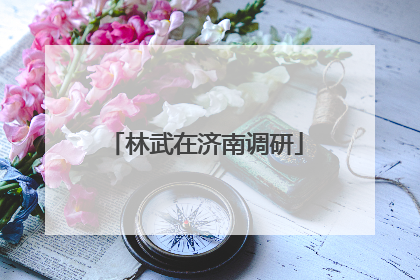 林武在济南调研