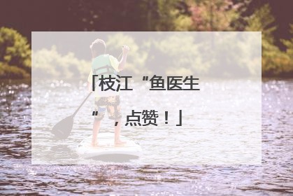 枝江“鱼医生”，点赞！
