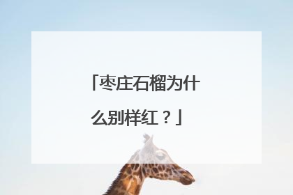 枣庄石榴为什么别样红？
