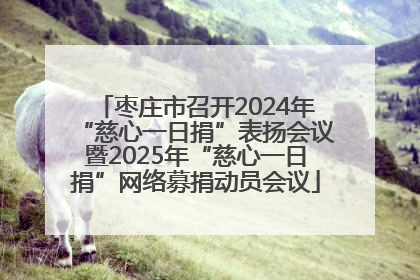 枣庄市召开2024年“慈心一日捐”表扬会议暨2025年“慈心一日捐”网络募捐动员会议
