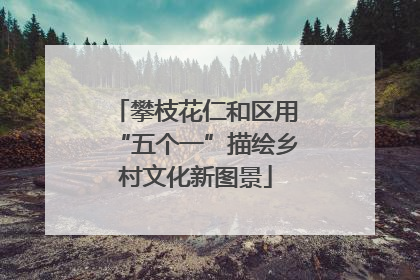 攀枝花仁和区用“五个一”描绘乡村文化新图景