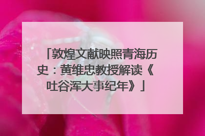 敦煌文献映照青海历史：黄维忠教授解读《吐谷浑大事纪年》