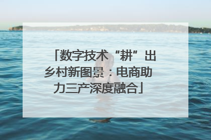 数字技术“耕”出乡村新图景：电商助力三产深度融合