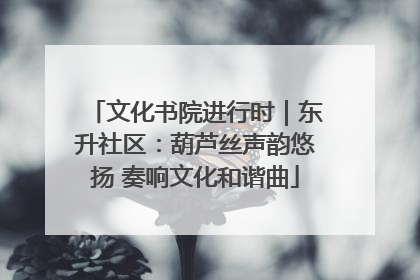 文化书院进行时｜东升社区：葫芦丝声韵悠扬 奏响文化和谐曲