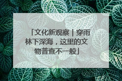 文化新观察｜穿雨林下深海，这里的文物普查不一般