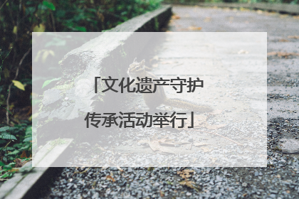 文化遗产守护传承活动举行