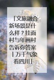 文旅融合新场景是什么样？挂面村与年画村告诉你答案丨万千气象看四川