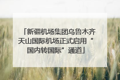 新疆机场集团乌鲁木齐天山国际机场正式启用“国内转国际”通道