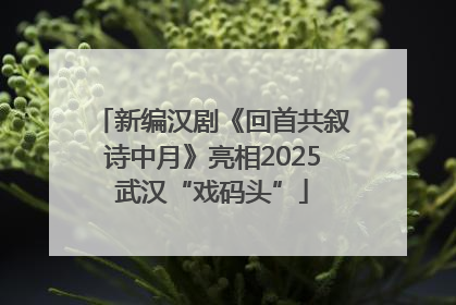 新编汉剧《回首共叙诗中月》亮相2025武汉“戏码头”