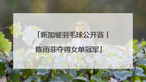新加坡羽毛球公开赛丨陈雨菲夺得女单冠军