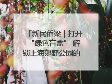 新民侨梁｜打开“绿色盲盒” 解锁上海郊野公园的N种玩法