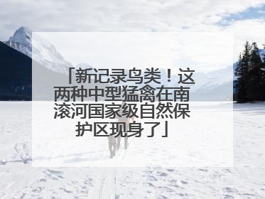 新记录鸟类！这两种中型猛禽在南滚河国家级自然保护区现身了