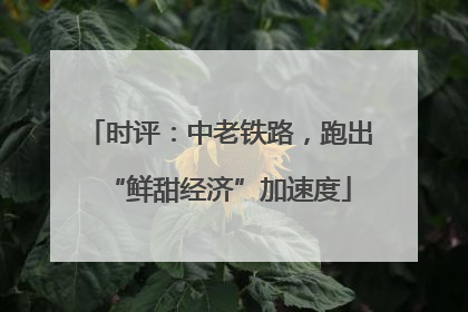 时评：中老铁路，跑出“鲜甜经济”加速度