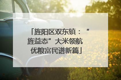 旌阳区双东镇：“旌益态”大米领航 优粮富民谱新篇