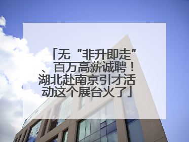 无“非升即走”、百万高薪诚聘！湖北赴南京引才活动这个展台火了