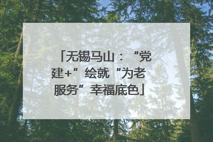 无锡马山：“党建+”绘就“为老服务”幸福底色
