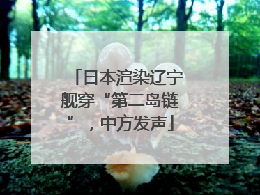 日本渲染辽宁舰穿“第二岛链”，中方发声