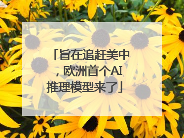 旨在追赶美中，欧洲首个AI推理模型来了
