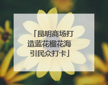 昆明商场打造蓝花楹花海引民众打卡