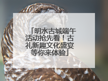 明水古城端午活动抢先看！古礼新趣文化盛宴等你来体验