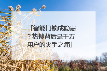 智能门锁成隐患？热搜背后是千万用户的夹手之痛