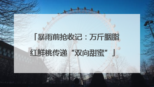 暴雨前抢收记：万斤胭脂红鲜桃传递“双向甜蜜”