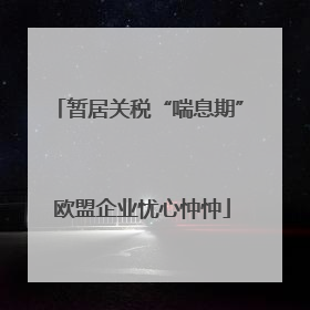 暂居关税“喘息期” 欧盟企业忧心忡忡