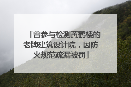 曾参与检测黄鹤楼的老牌建筑设计院，因防火规范疏漏被罚