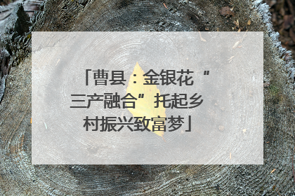 曹县：金银花“三产融合”托起乡村振兴致富梦