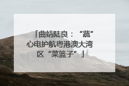 曲靖陆良：“蔬”心电护航粤港澳大湾区“菜篮子”