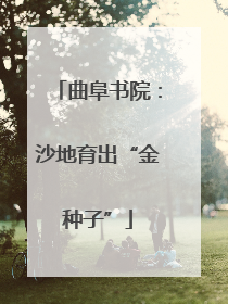 曲阜书院：沙地育出“金种子”