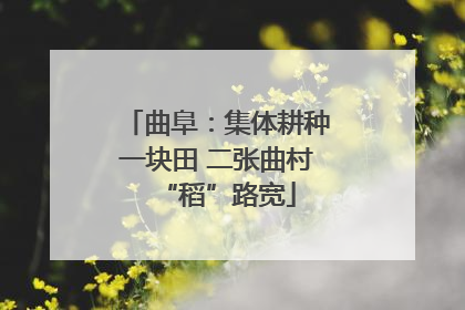 曲阜：集体耕种一块田 二张曲村“稻”路宽