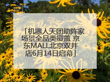 机器人天团助阵家场景全品类覆盖 京东MALL北京双井店6月14日启幕