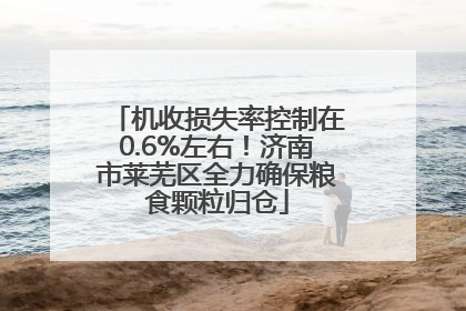机收损失率控制在0.6%左右！济南市莱芜区全力确保粮食颗粒归仓