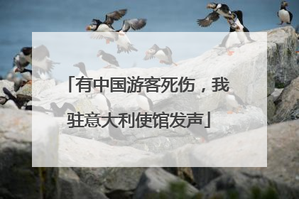 有中国游客死伤，我驻意大利使馆发声