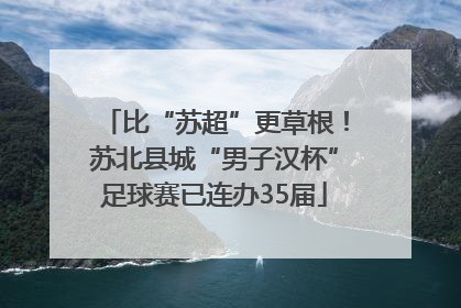 比“苏超”更草根！苏北县城“男子汉杯”足球赛已连办35届