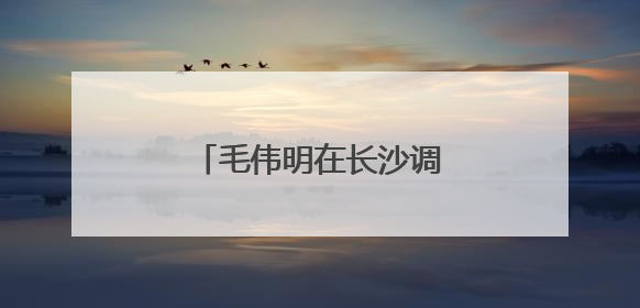 毛伟明在长沙调研中医药工作