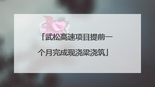 武松高速项目提前一个月完成现浇梁浇筑