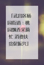 武昌区杨园街道：桃园飘香采摘忙 消费扶贫促振兴
