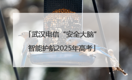 武汉电信“安全大脑” 智能护航2025年高考