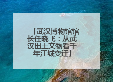 武汉博物馆馆长任晓飞：从武汉出土文物看千年江城变迁