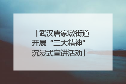 武汉唐家墩街道开展“三大精神”沉浸式宣讲活动